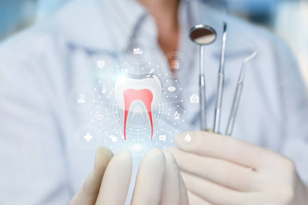 Best Full Mouth Reconstruction  in Pelican Marsh, FL